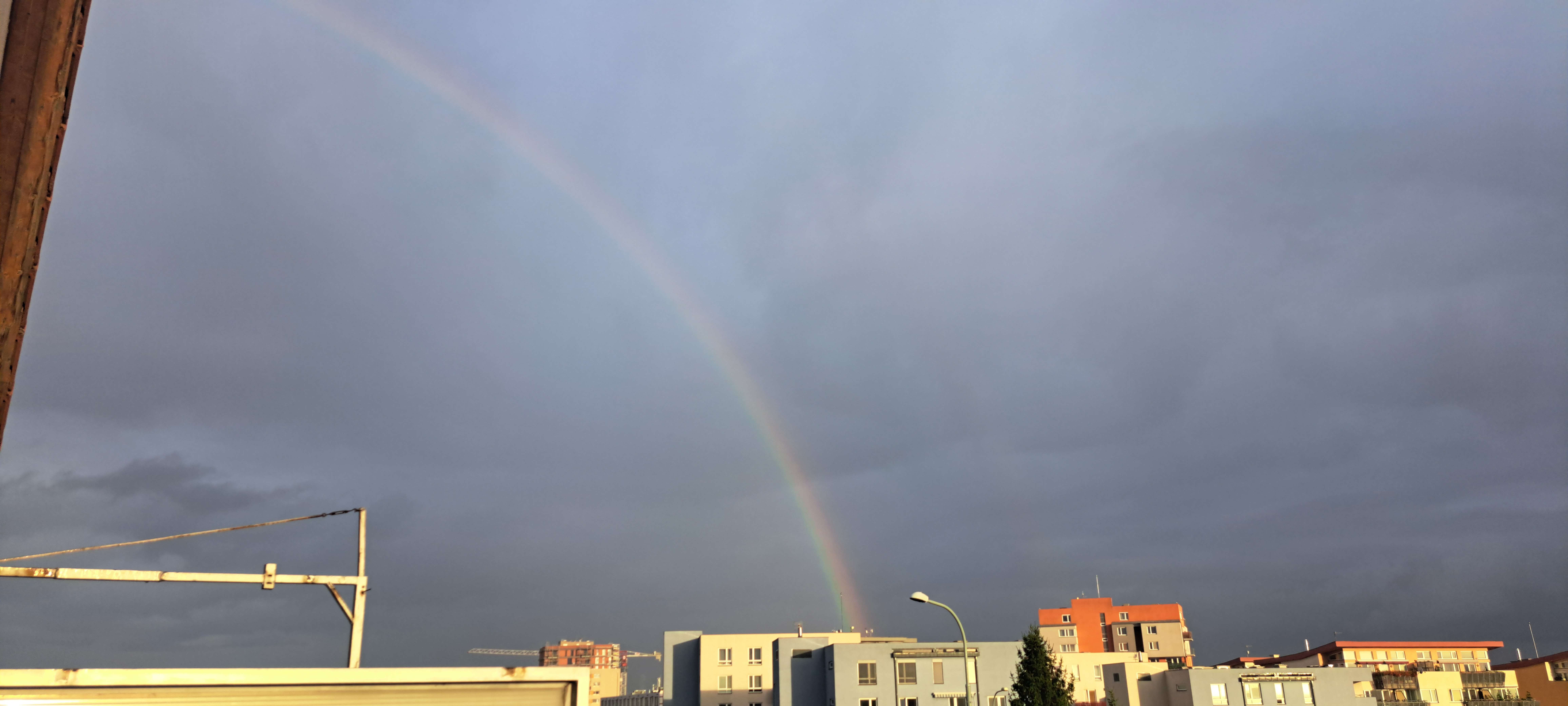 Venčenie psíkov 🐕