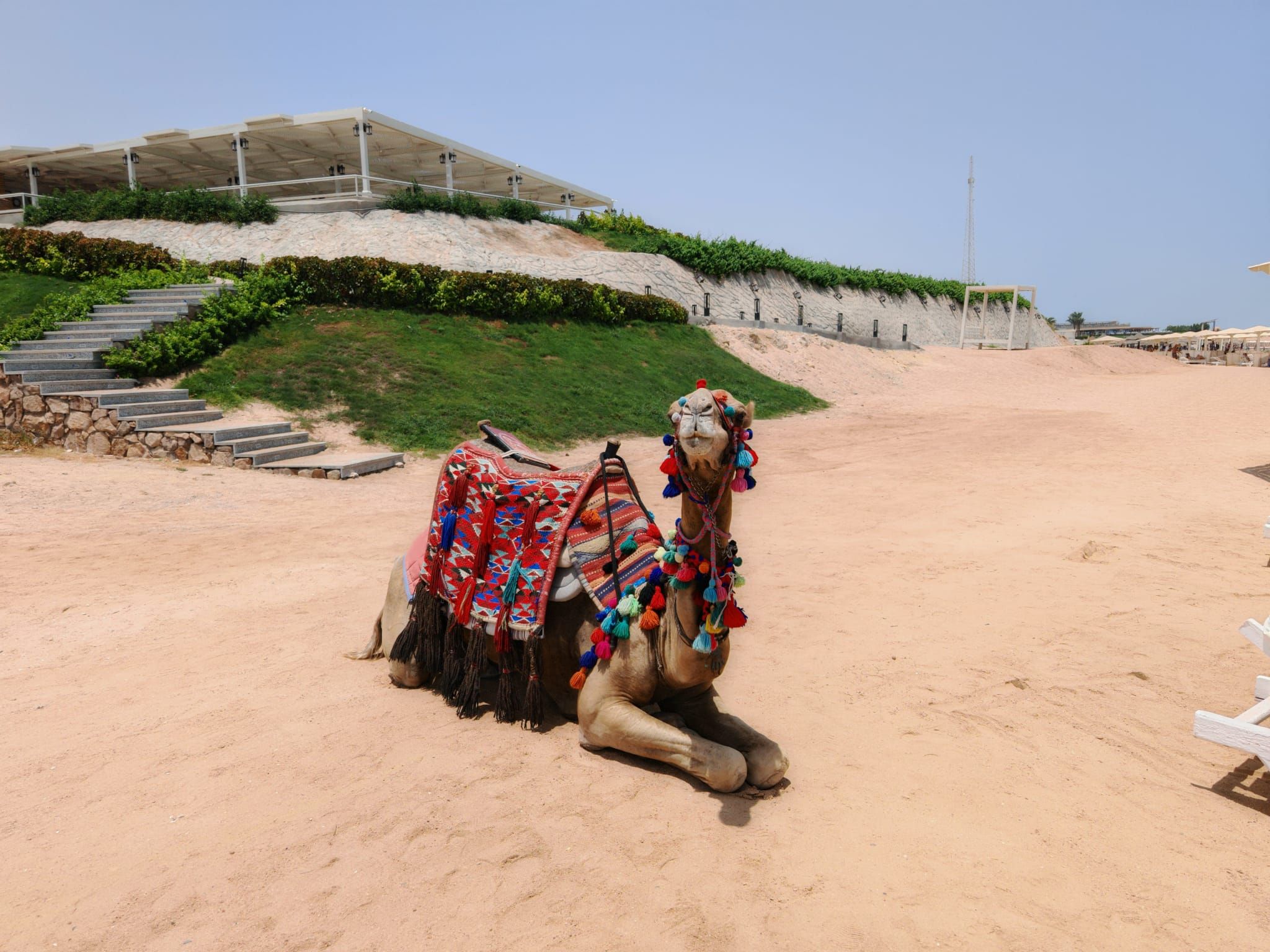 Odvoz Prievidza - Praha a späť